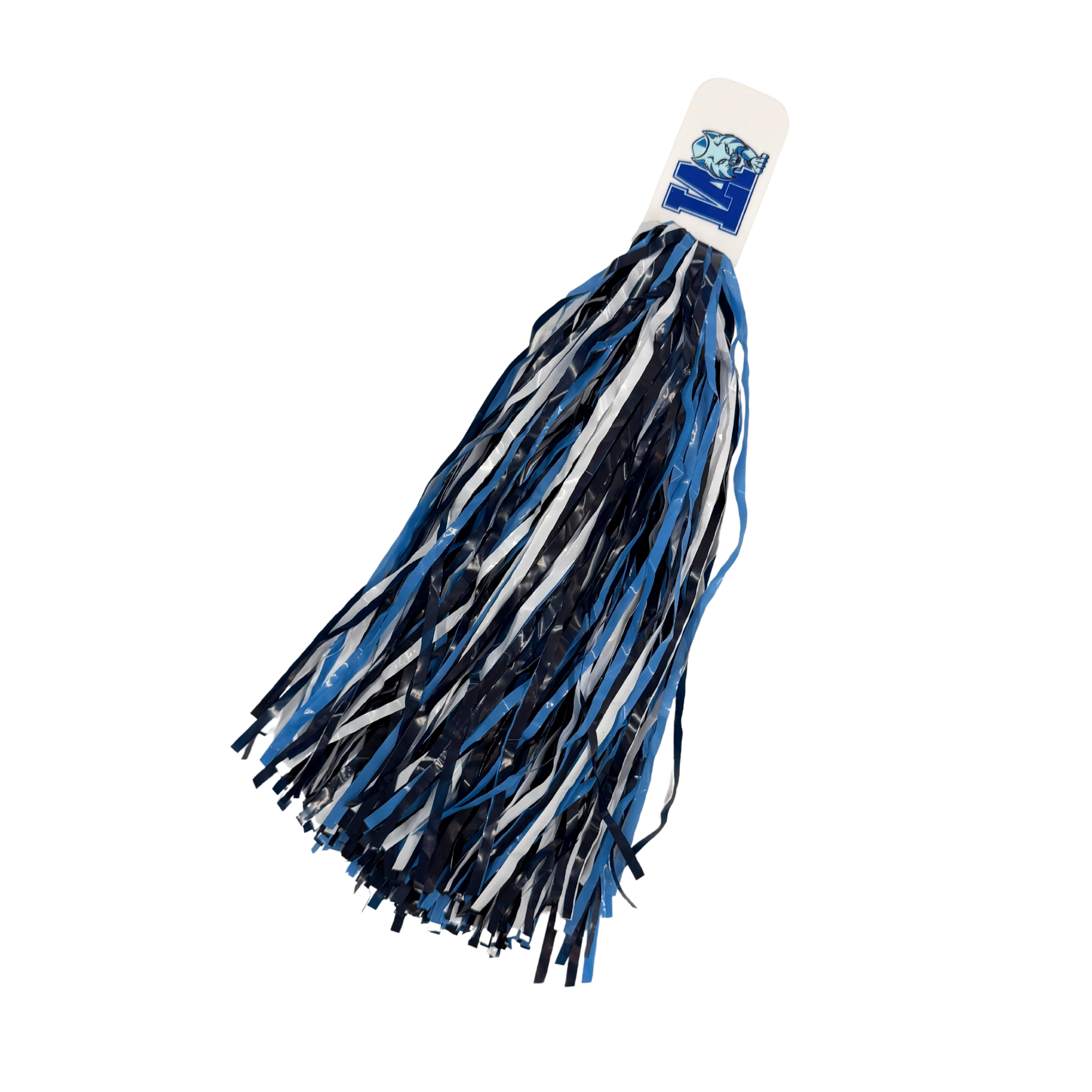 Lourdes Cheer Streamer
